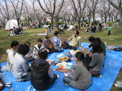 花見会